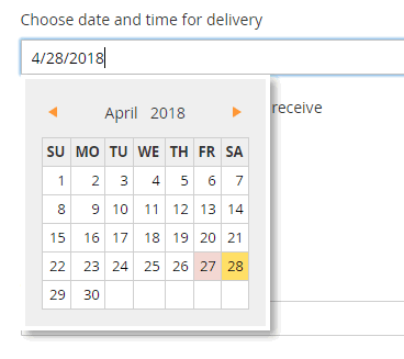 only date is included onto Magento 2 checkout page