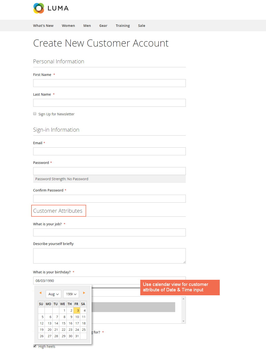 Magento 2 Registration form with additional customer attributes